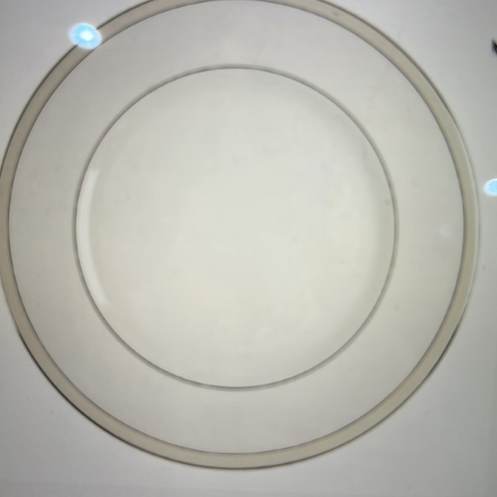 Kate Spade Noel Alabaster Dinner plate